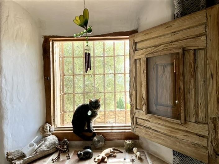 Image No.31-7 Bed Country House for sale