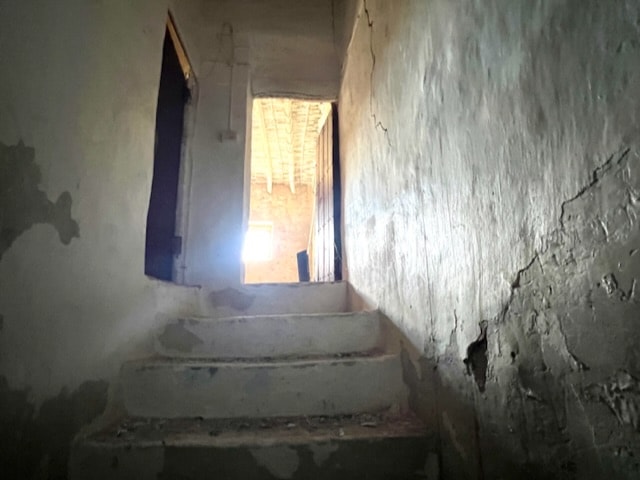 Image No.17-4 Bed Country House for sale