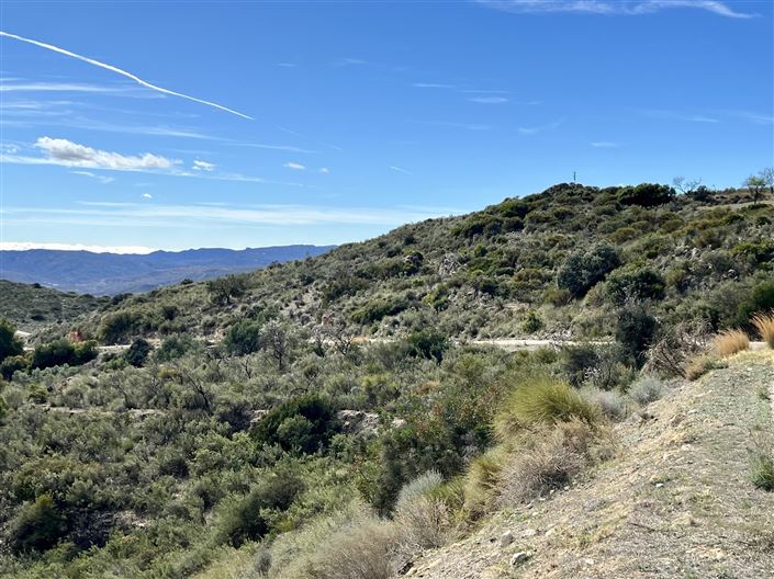 Image No.2-Terre à vendre à Bédar