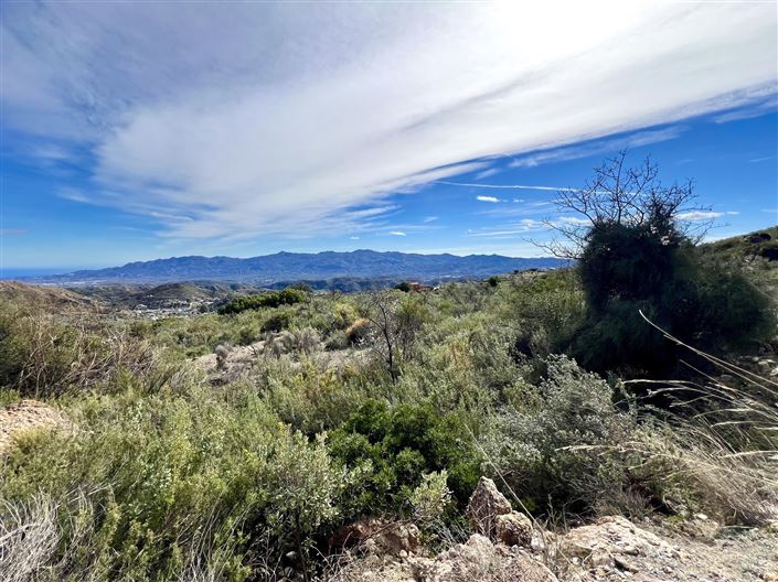 Image No.8-Terre à vendre à Bédar