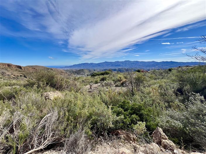 Image No.9-Terre à vendre à Bédar