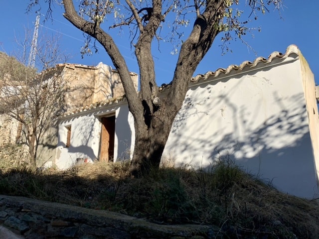 Image No.6-3 Bed Cortijo for sale