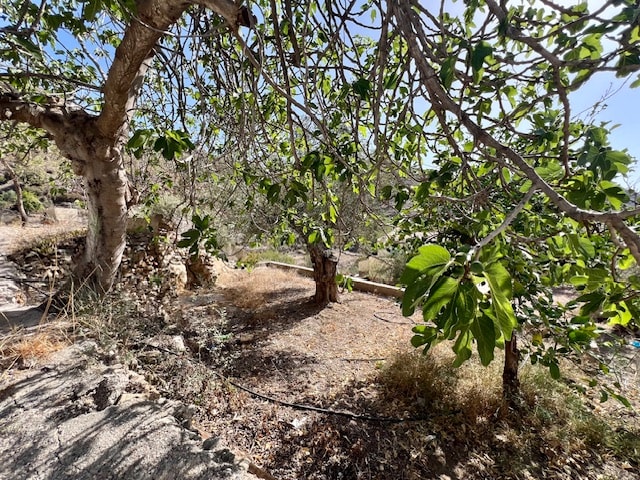 Image No.4-Maison de campagne de 4 chambres à vendre à Lubrín
