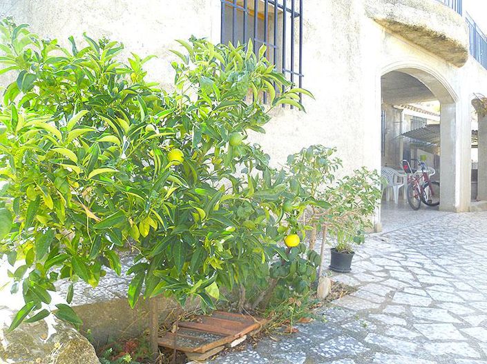 Image No.22-5 Bed Country House for sale