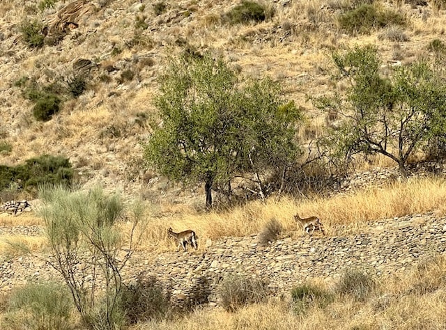 Image No.55-2 Bed Villa for sale