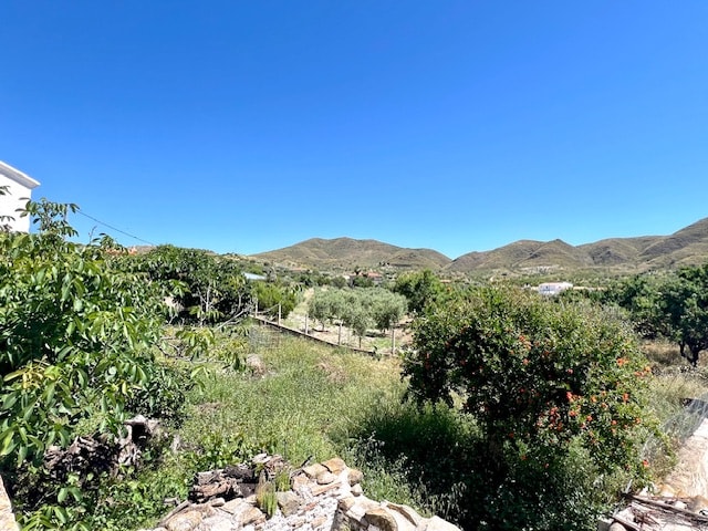 Image No.22-2 Bed House for sale