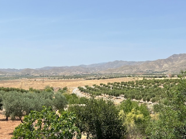 Image No.10-2 Bed Country House for sale