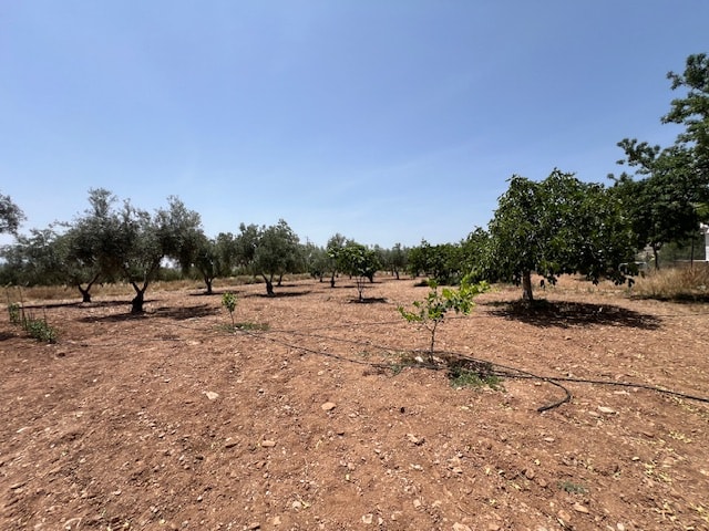 Image No.8-2 Bed Country House for sale