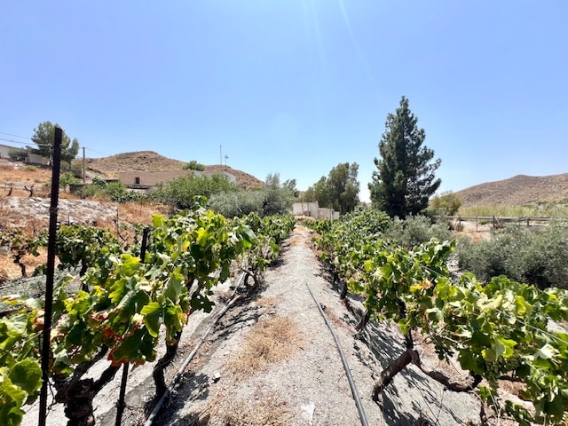 Image No.4-7 Bed Country House for sale