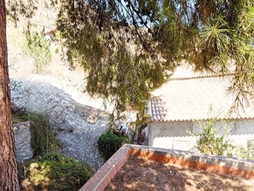 7517950335
