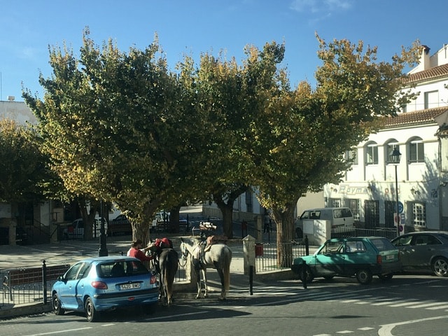 Image No.18-Appartement de 3 chambres à vendre à Uleila del Campo