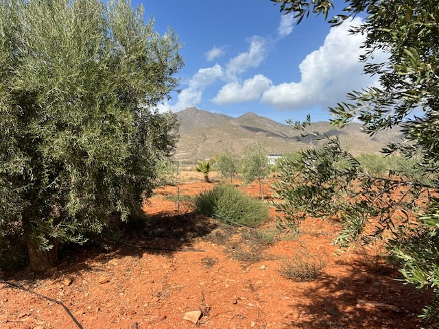 Image No.14-Maison de campagne de 3 chambres à vendre à Uleila del Campo
