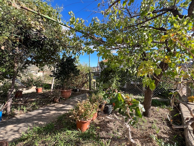 Image No.35-5 Bed Country House for sale