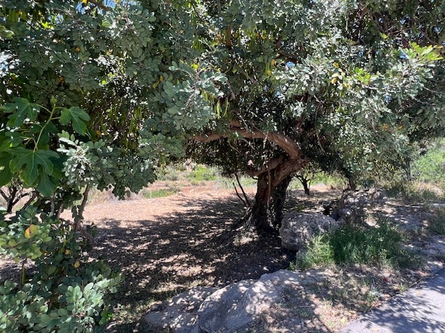 Image No.28-5 Bed Country House for sale