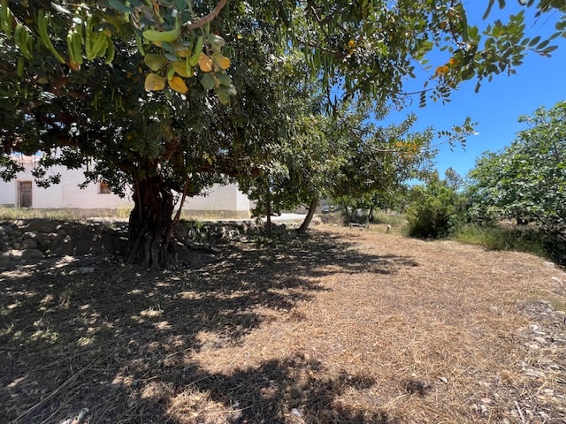 Image No.31-5 Bed Country House for sale