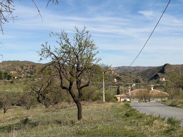 Image No.27-3 Bed Villa for sale