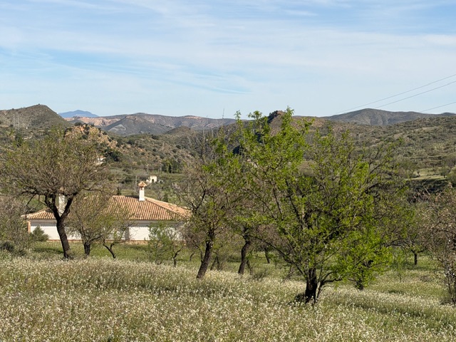 Image No.28-3 Bed Villa for sale