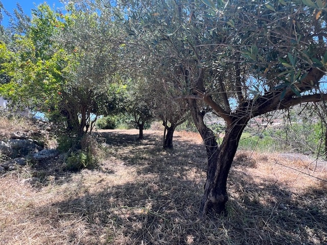 Image No.24-5 Bed Country House for sale