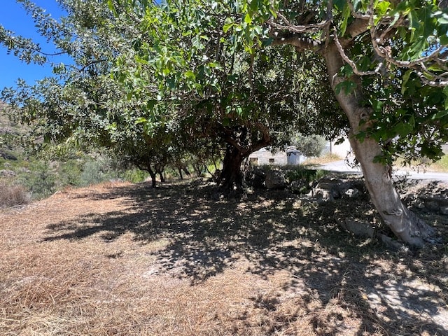 Image No.25-5 Bed Country House for sale