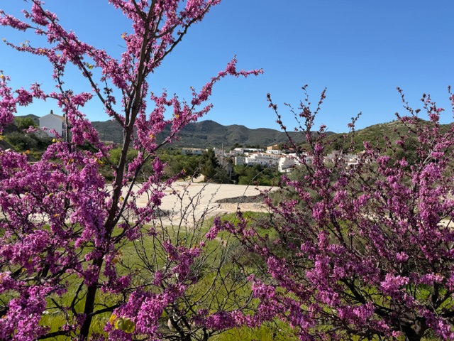 Image No.6-2 Bed Duplex for sale