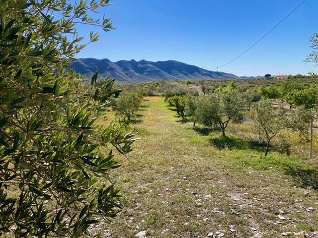 Image No.28-2 Bed Cortijo for sale