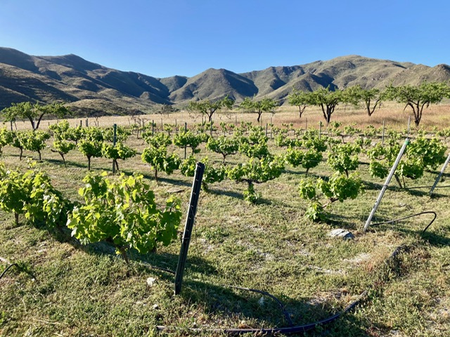 Image No.30-2 Bed Cortijo for sale