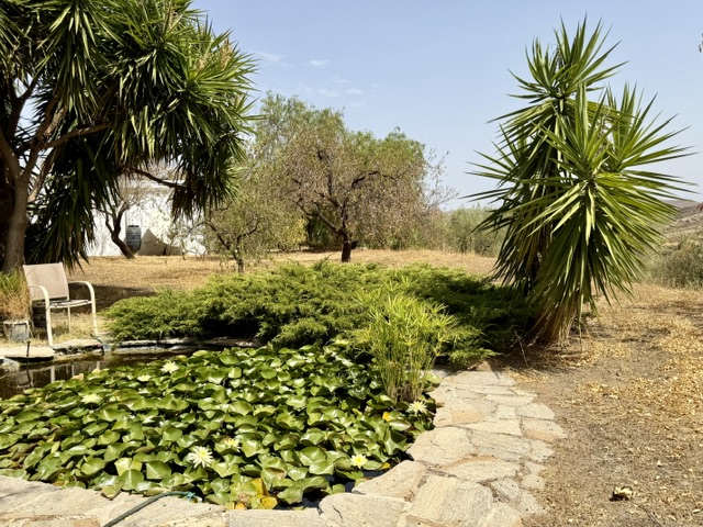 Image No.16-3 Bed Country House for sale