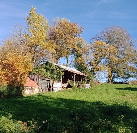 Image No.4-Maison de campagne de 1 chambre à vendre à Champsanglard
