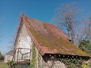 IMG_20260321_105033062_MFNR