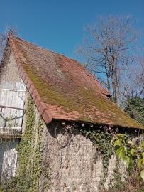 IMG_20260321_105047301_MFNR