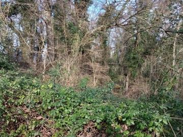 IMG_20260124_133314310_MFNR