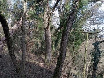 IMG_20260124_133410410_MFNR