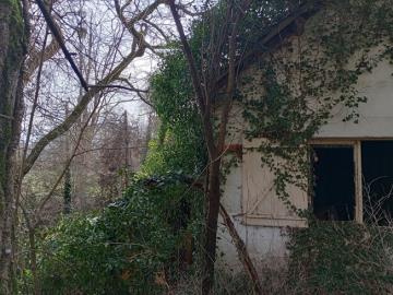 IMG_20260124_133525393_HDR