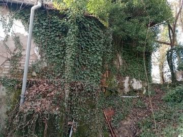 IMG_20260124_134937079_MFNR