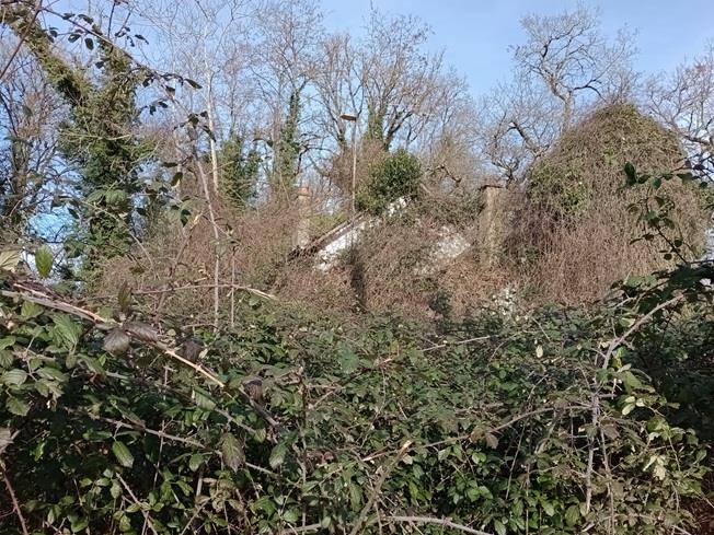 Image No.5-2 Bed Country House for sale