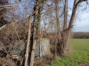 IMG_20260124_135617773_MFNR