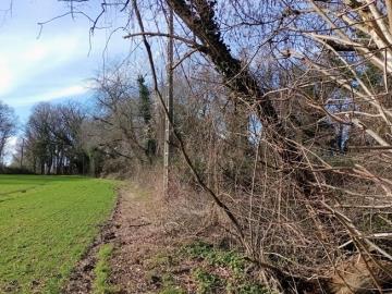 IMG_20260124_135626473_MFNR-2