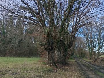 IMG_20260124_141233773_HDR