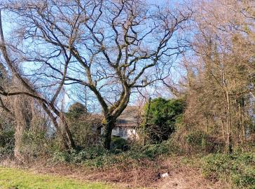 IMG_20260208_112949243-2