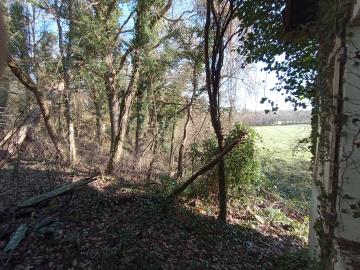 IMG_20260208_113436421_MFNR