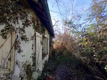 IMG_20260208_113722609_HDR-2