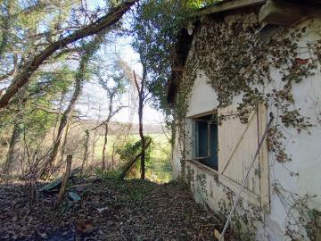 IMG_20260208_113732749_MFNR-2