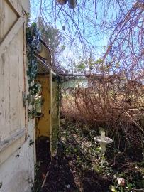 IMG_20260208_113802537_HDR-2