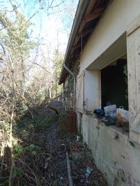 IMG_20260208_113831799_MFNR