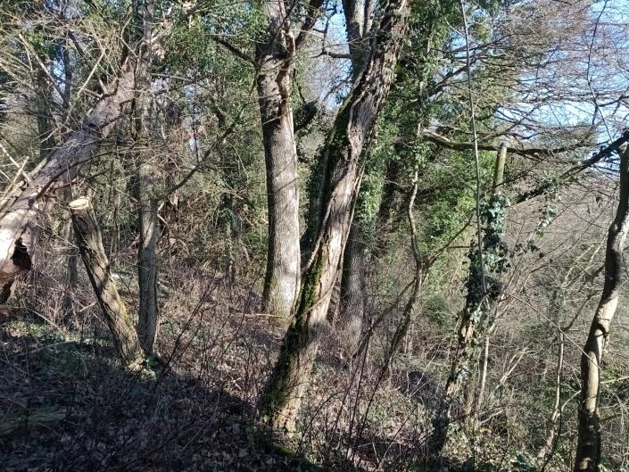 Image No.19-2 Bed Country House for sale