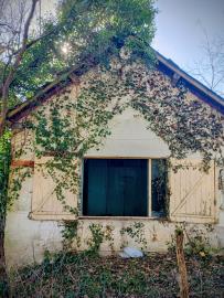 IMG_20260208_121741686_HDR-2