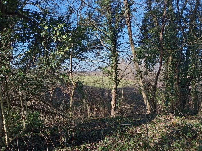 Image No.20-2 Bed Country House for sale