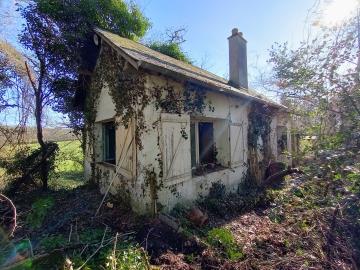 IMG_20260208_125551539_HDR-2