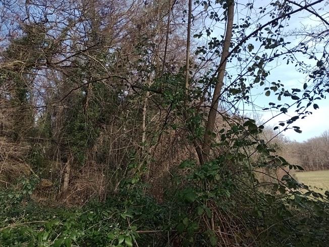 Image No.27-2 Bed Country House for sale