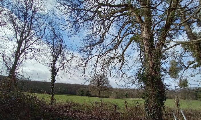 Image No.8-Propriété de pays de 5 chambres à vendre à Orsennes